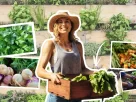 horta organica em apartamento