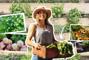 horta organica em apartamento