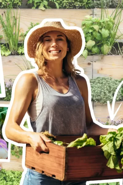 horta organica em apartamento