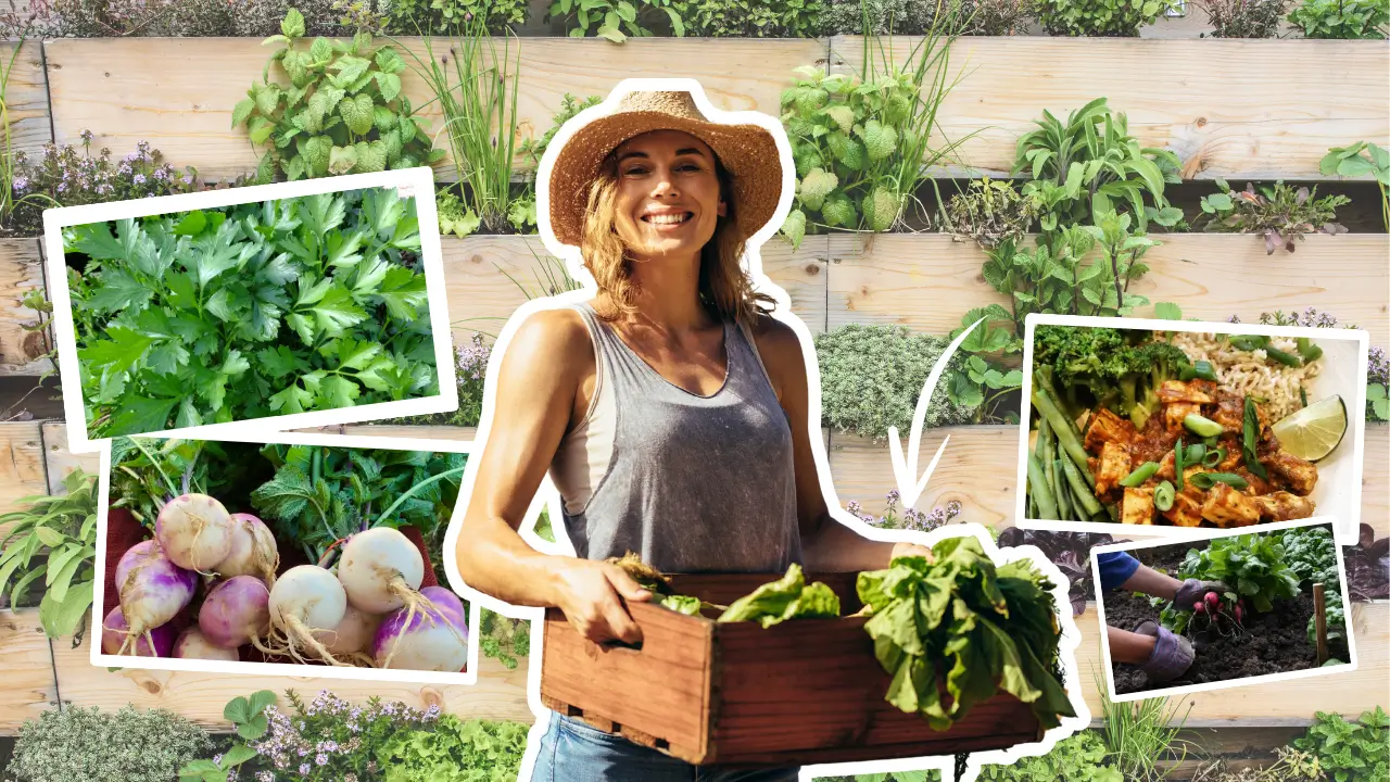 horta organica em apartamento