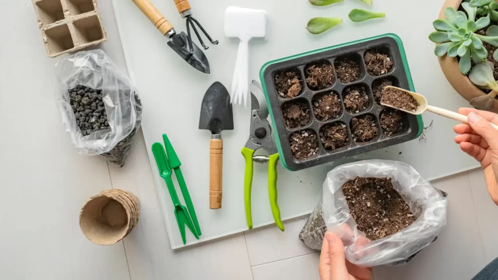 sustentabilidade