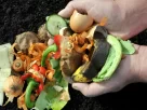 fertilizantes naturais