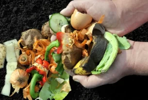 fertilizantes naturais