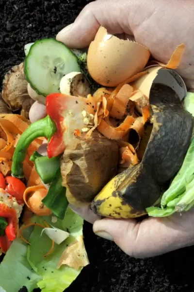fertilizantes naturais