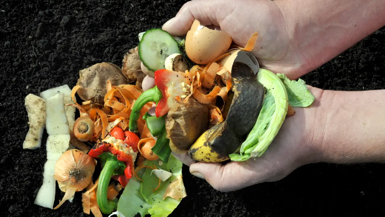 Fertilizantes Naturais: Como Nutrir Sua Horta Caseira Sem Químicos
